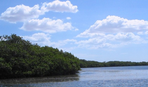 Bahía Portete como una zona prioritaria para su conservación con un 80% de Área Marina Protegida.