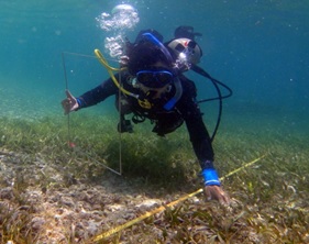 Una Integridad Ecológica de los Ecosistemas Presentes en las AMPs