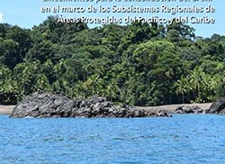 Plan de Acción del Subsistema de Áreas Marinas Protegidas – SAMP 2016-2023: Lineamientos para su consolidación en el marco de los Subsistemas Regionales de Áreas Protegidas del Pacífico y del Caribe